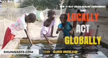Think Locally, Act Globally: Steps to Foster a Healthy Environment