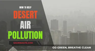 Combating Air Pollution in Desert Regions: Strategies for Improvement