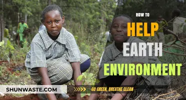 Sustainable Steps: Simple Ways to Protect and Restore Our Planet