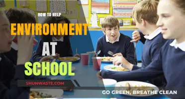 Eco-Friendly School Tips: Simple Ways Students Can Protect the Environment