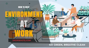 Sustainable Workplace Tips: Simple Steps to Protect the Environment at Work