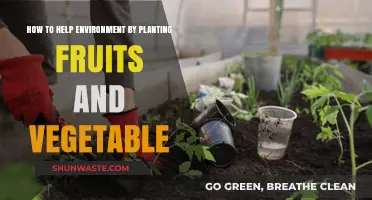 Green Your Plate: Plant Fruits and Veggies to Save the Planet