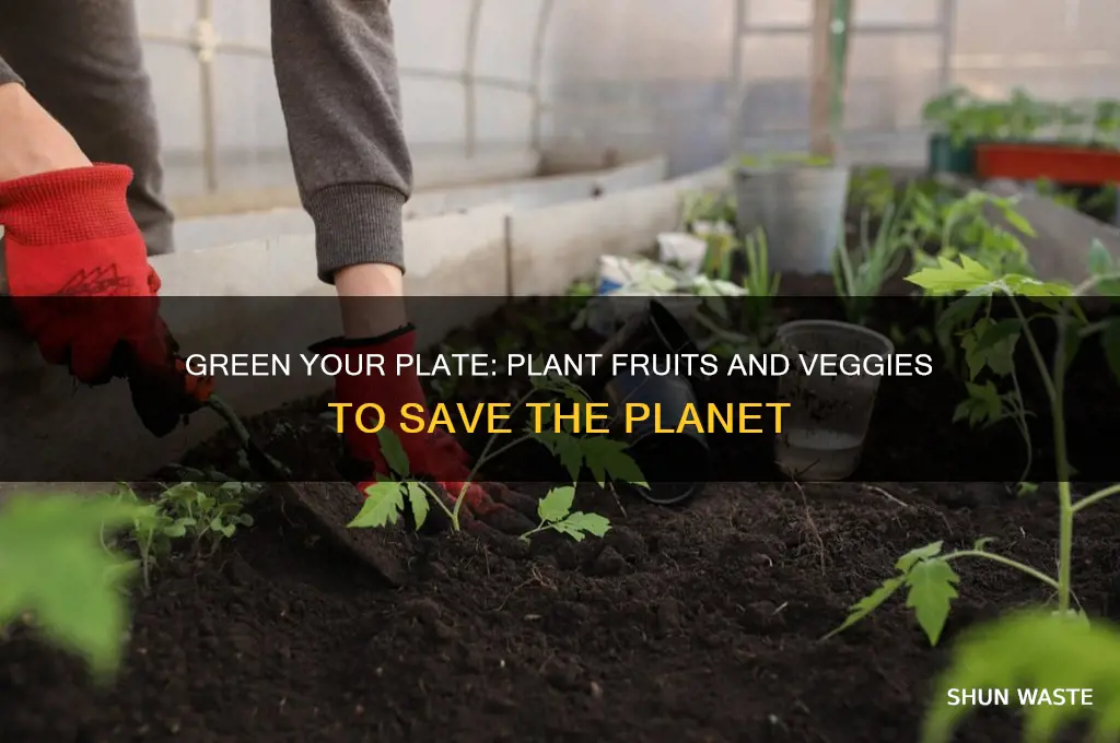 how to help environment by planting fruits and vegetable