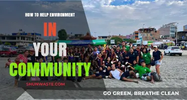 Sustainable Steps: Empowering Your Community to Protect the Environment