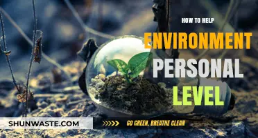 Sustainable Living: Simple Personal Actions to Protect Our Environment