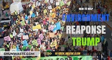Combating Climate Change: Effective Ways to Counter Trump's Environmental Policies