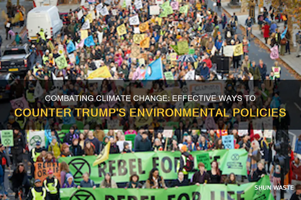 how to help environment reaponse trump