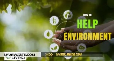 Sustainable Steps: Simple Ways to Protect and Preserve Our Environment