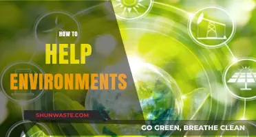 Sustainable Steps: Practical Ways to Protect and Restore Our Environment