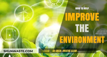 Sustainable Steps: Practical Ways to Protect and Restore Our Environment