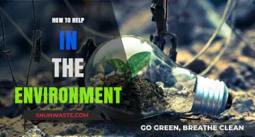 Sustainable Steps: Simple Ways to Protect and Preserve Our Planet