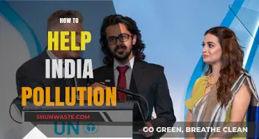 Clean India: Strategies to Combat Pollution