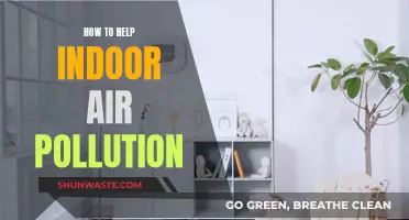 Breathe Easy: Reduce Indoor Air Pollution