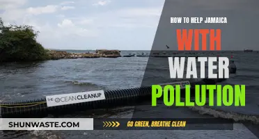 Clean Water for Jamaica: Simple Steps to Reduce Pollution