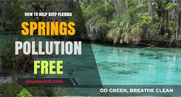 Protecting Florida's Springs: Keeping the Waters Pristine