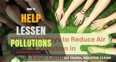 Reducing Pollution: Small Steps, Big Impact