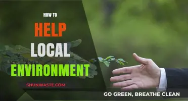 Simple Steps to Protect and Enhance Your Local Environment Today