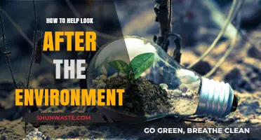 Sustainable Living: Simple Steps to Protect and Preserve Our Environment