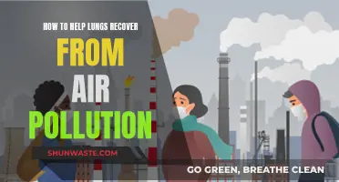 Breathing Easy: Recovering Lungs from Air Pollution