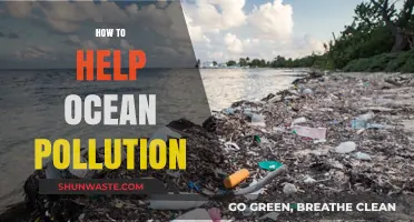 Protecting Our Oceans: Reducing Pollution's Impact