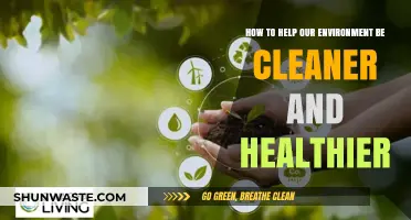Sustainable Steps: Simple Ways to Create a Cleaner, Healthier Environment