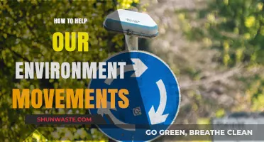 Empowering Environmental Action: Practical Steps to Support Green Movements