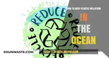 Ocean Plastic Pollution: Small Actions, Big Impact