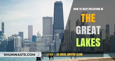 Preserving the Great Lakes: Reducing Pollution's Impact