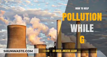 Green Travel: Reducing Pollution on the Go