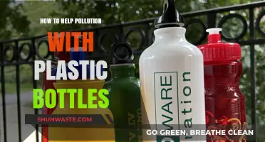 Reducing Plastic Bottle Pollution: A Guide to Help the Environment