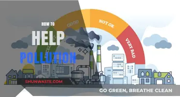 Reducing Pollution: Simple Steps for a Better Tomorrow