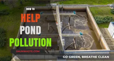 Protecting Ponds: Reducing Pollution for Healthy Ecosystems
