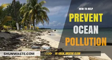 Ocean Pollution: Simple Ways to Help