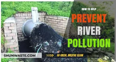 Protecting Rivers: Simple Steps to Prevent Pollution