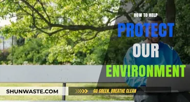Sustainable Steps: Simple Actions to Protect Our Environment Daily