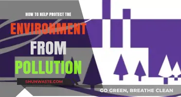 Sustainable Steps: Practical Ways to Combat Pollution and Protect Our Planet