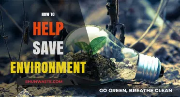 Sustainable Living: Simple Steps to Protect and Preserve Our Planet