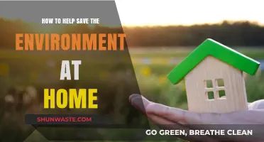 Eco-Friendly Home Habits: Simple Steps to Save the Environment