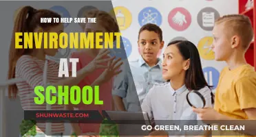 Eco-Friendly School Tips: Simple Ways Students Can Protect Our Planet