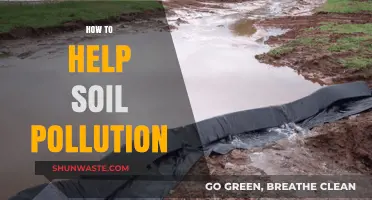 Soil Pollution: Strategies for a Sustainable Future