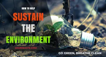 Sustainable Living: Simple Steps to Protect and Preserve Our Planet