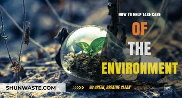Sustainable Living: Simple Steps to Protect and Preserve Our Planet