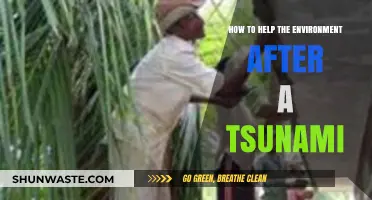 Post-Tsunami Environmental Recovery: Practical Steps to Restore and Protect Ecosystems