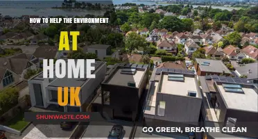 Eco-Friendly Living: Simple UK Home Tips to Protect Our Planet