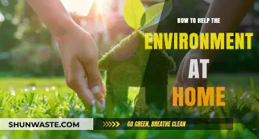 Simple Eco-Friendly Home Habits to Save Our Planet Daily