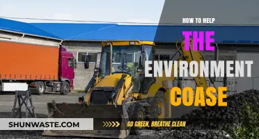 Sustainable Steps: Practical Ways to Help the Environment Thrive
