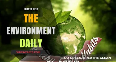 Simple Daily Habits to Protect and Preserve Our Environment