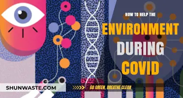 Sustainable Practices to Protect Our Planet During the COVID-19 Pandemic