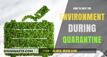 Eco-Friendly Quarantine: Simple Ways to Protect the Planet at Home