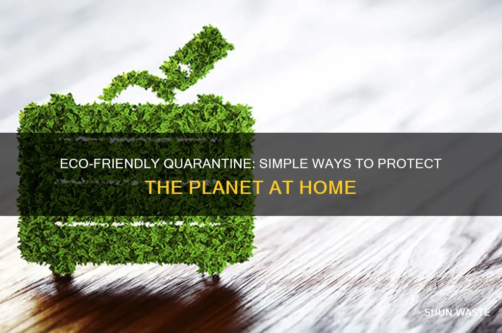 how to help the environment during quarantine